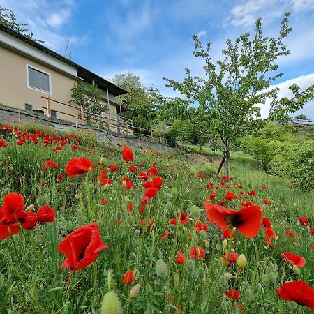 Casa Le Vignole - Aosta Villa Екстериор снимка