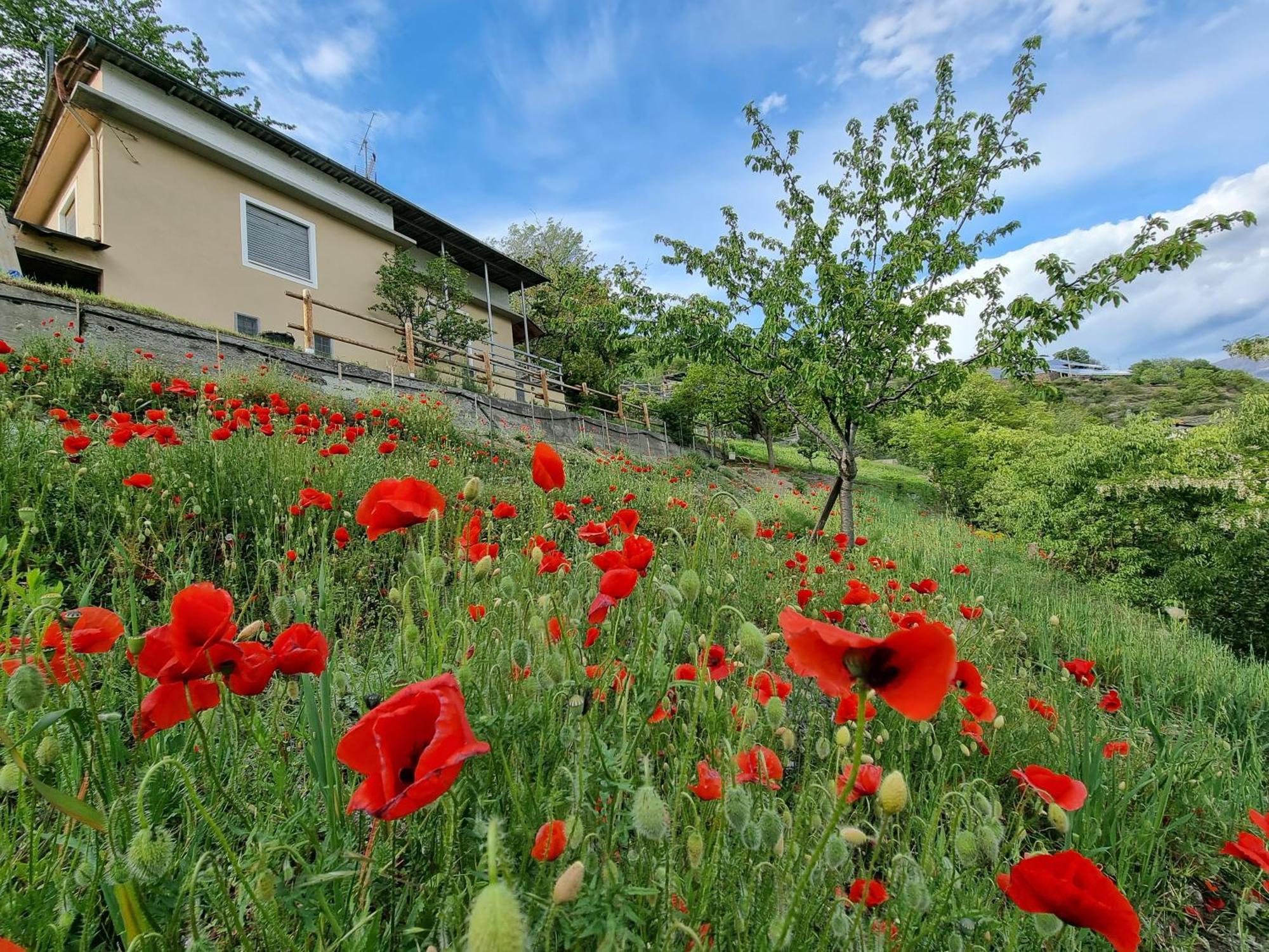 Casa Le Vignole - Aosta Villa Екстериор снимка